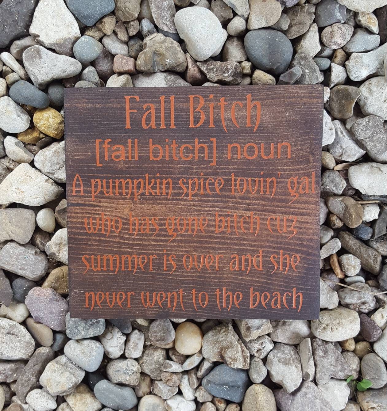Fall Bitch Funny Wood Wall Sign with Sawtooth Hanger – Sassy Autumn Decor